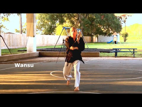 Wansu – Sensei Rod Lindgren