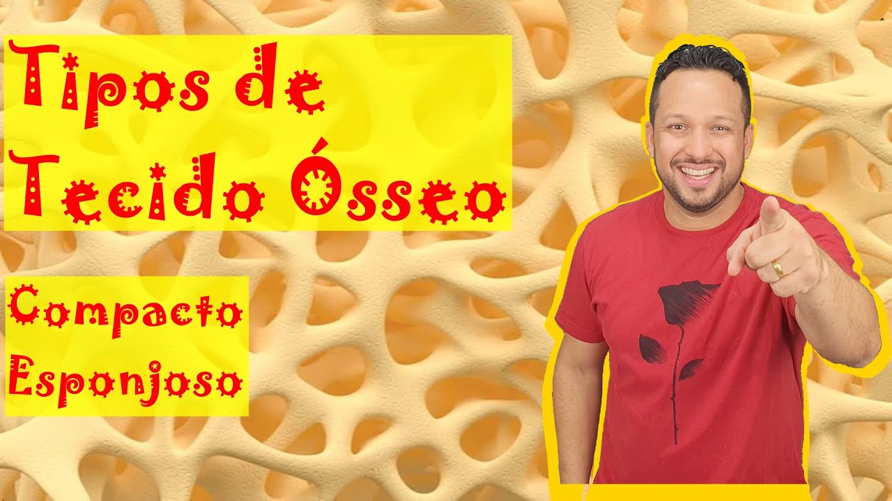 Osso Esponjoso e Osso Compacto - Tipos de Tecido Ósseo - Tecidos Conjuntivos  - Histologia Animal
