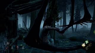 こーめいのDBD　大人の鬼ごっこ