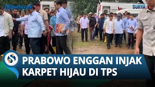 Momen Prabowo Enggan Injak Karpet saat Becek-becekan di TPS, Pilih Jalan di Pinggir Bareng Ajudan