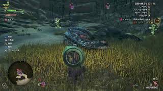 [MHWS]スティック不良と戦いながら歴戦周回
