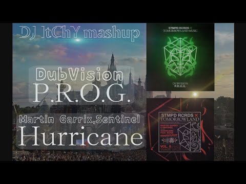 DubVision & Martin Garrix,Sentinel - P.R.O.G. vs Hurricane (DJ ItChY mashup)