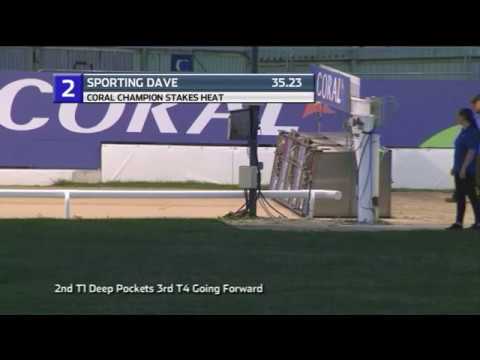 2019 CHAMPION STAKES - HEAT 5 - T2 SPORTING DAVE