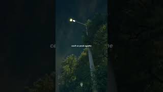 Download lagu Kata kata madura // Hargai yang ada 😰 mp3