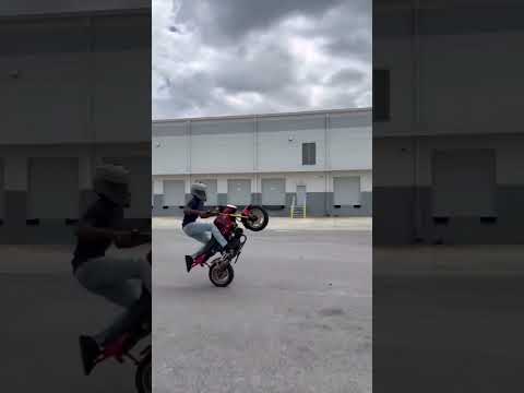 Давайте снова примерим эти шорты #hondagrom #stayon1wheel #justdontloop #wheelie