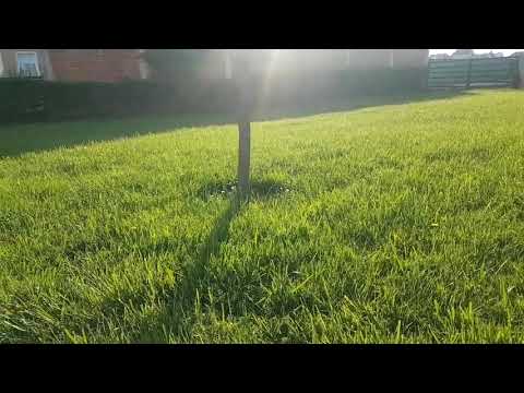 Te Xhamia Habib Habibi