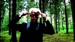 Feral Tides - Spacedrifter video