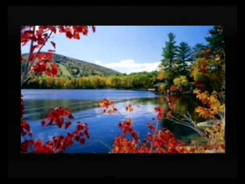 Fedhu Unumi Koalhi Emaa