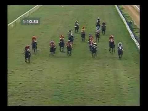 Premio Capannelle 2012 (HANDICAP PRINCIPALE)