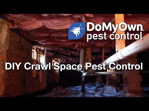  DIY Crawl Space Pest Control Video 