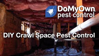 DIY Crawl Space Pest Control | DoMyOwn.com