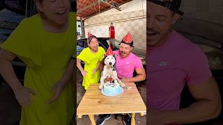 Feliz Aniversário na língua dos cães 🐶🤣🤣🤣 #funny #shorts