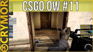 Helmets Are For Silvers - The Overwatch, Case Eleven - CS:GO Investigations