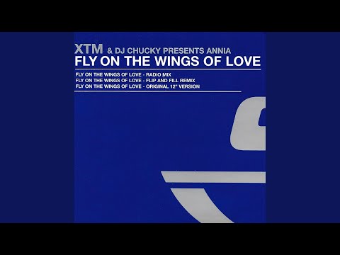 Fly On The Wings Of Love (Original 12`` Version)