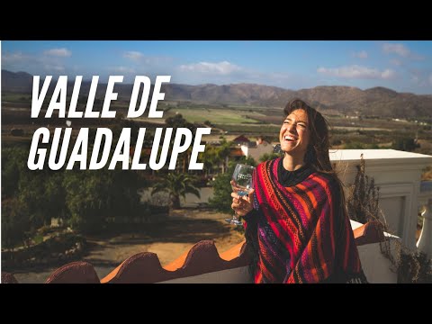 The best wine in Mexico is here! | Ensenada #1