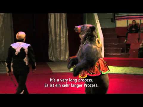 Trailer | Wild Women Gentle Beasts | Anka Schmid