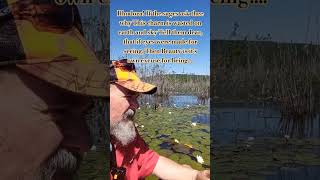 Emerson in a Bog? #transcendentalism #19thcentury #poems