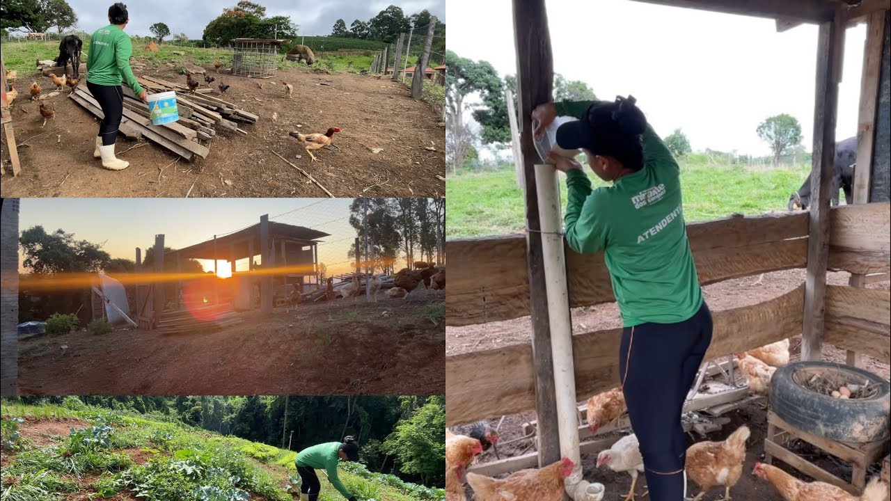 A ROTINA DE UMA MULHER DO CAMPO.por aqui os serviços não param 🙏🙌