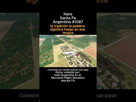 Nare, Santa Fe desde el Microsoft Flight Simulator #nare #santafe #msfs #argentina