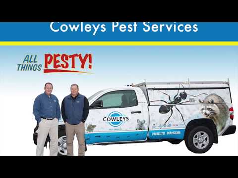 Odorous Ants Love Bathrooms in Sea Girt, NJ