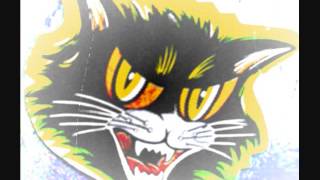 Grade Z: Old Black Cat