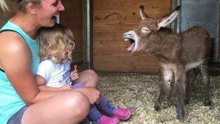 Un adorable bébé réagit à sa première rencontre avec un animal ! 🤣