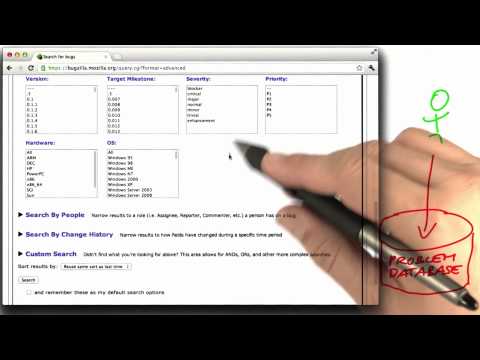 Bug Report Fields Software Debugging