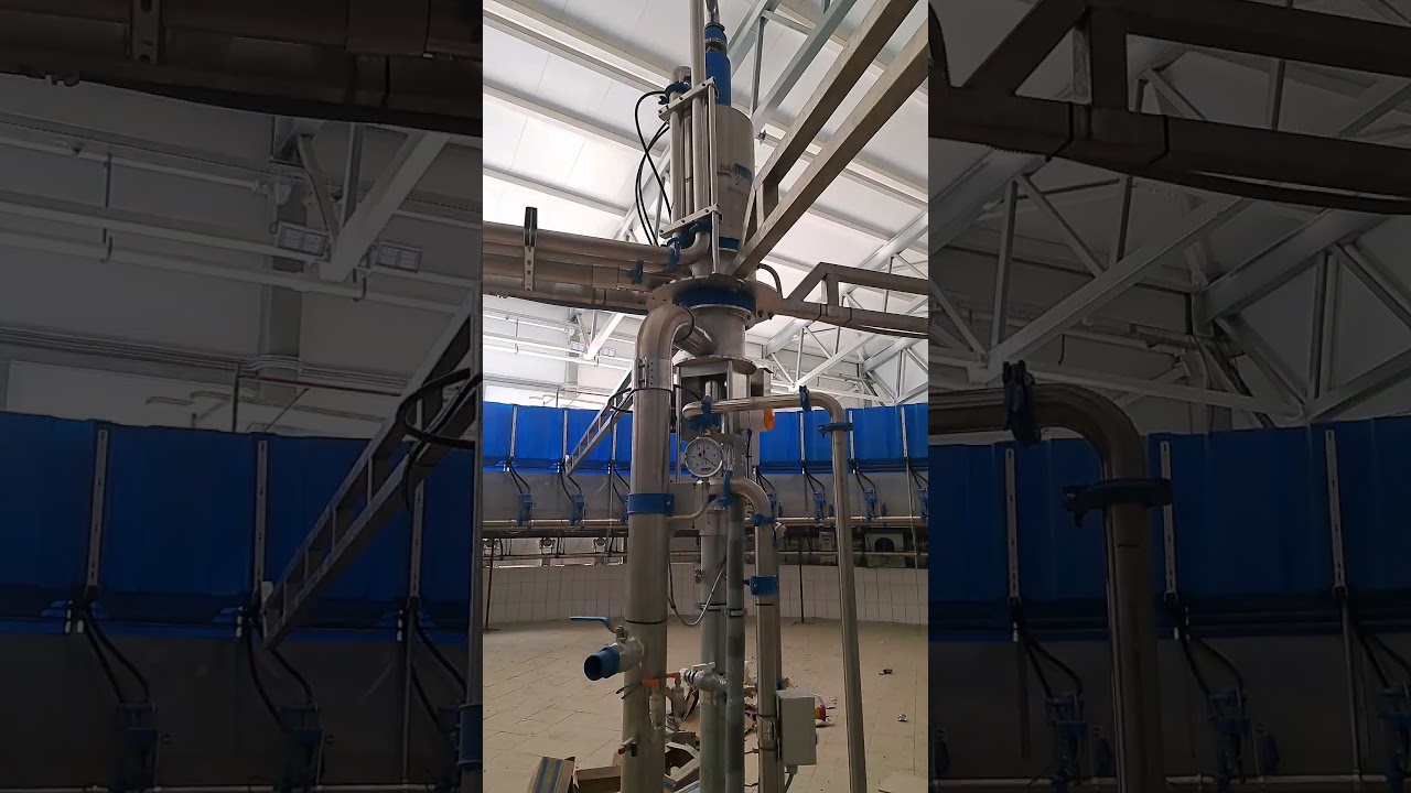 Доильный зал Карусель на 60 мест от DairyMaster