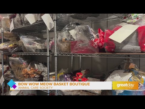 GDL: Shop the Bow Wow Meow Boutique at Animal Care Society - YouTube