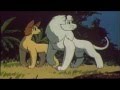 Leo The Lion - King Of The Jungle 