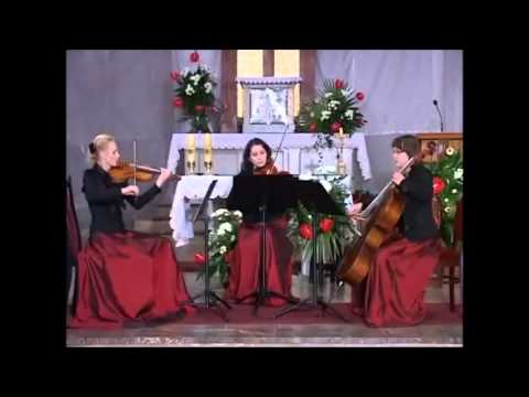 Trio Maestoso - A. Jarzębski  - Sentinella