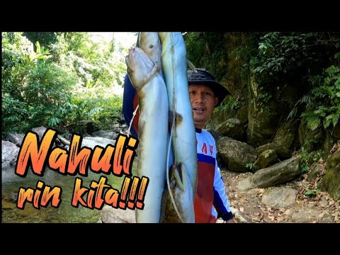 Ang Hiwaga ng Paru-paro at ng Apat na Igat