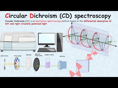 Circular Dichroism spectroscopy in 4 minutes