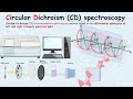 Circular Dichroism spectroscopy in 4 minutes