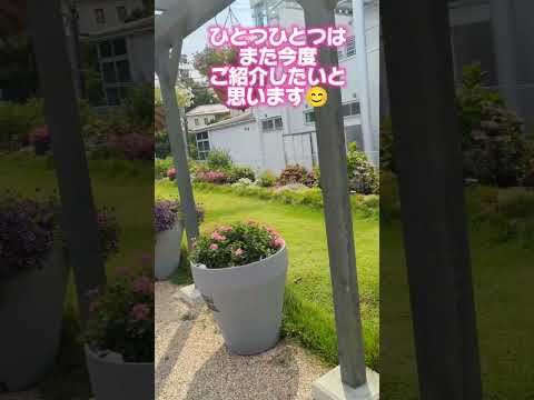 地中海の庭園デザイン – 植物と花のアイデア  庭園