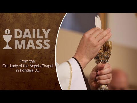 Catholic Daily Mass - Daily TV Mass - November 21, 2025