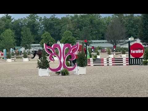Lottie video 1