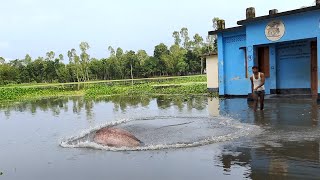Download lagu Fishing in Flood Water - Rural Fisherman Catch Fish By Cast Net mp3