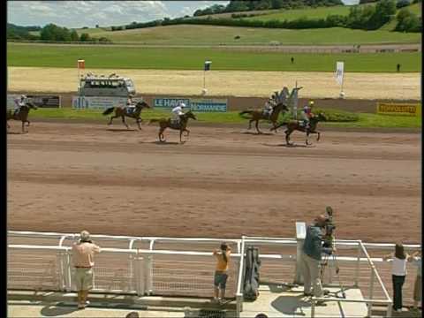 Didier LOUIS - Chevaux en parts - PHARAON BLUE vainqueur à MAUQUENCHY
