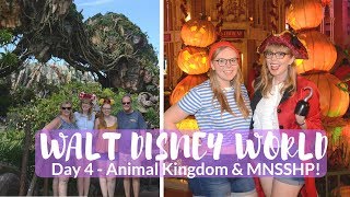 Walt Disney World Vlog August 2018 - Day 4 - MNSSHP and Animal Kingdom