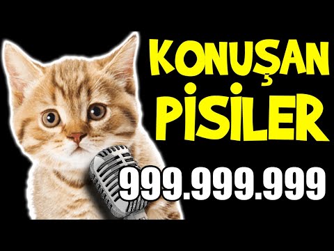 Konuşan Pisiler 999.999.999 - En Komik Kedi Videoları