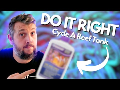 How To Cycle A Reef Tank Quick and Easy For Beginners!