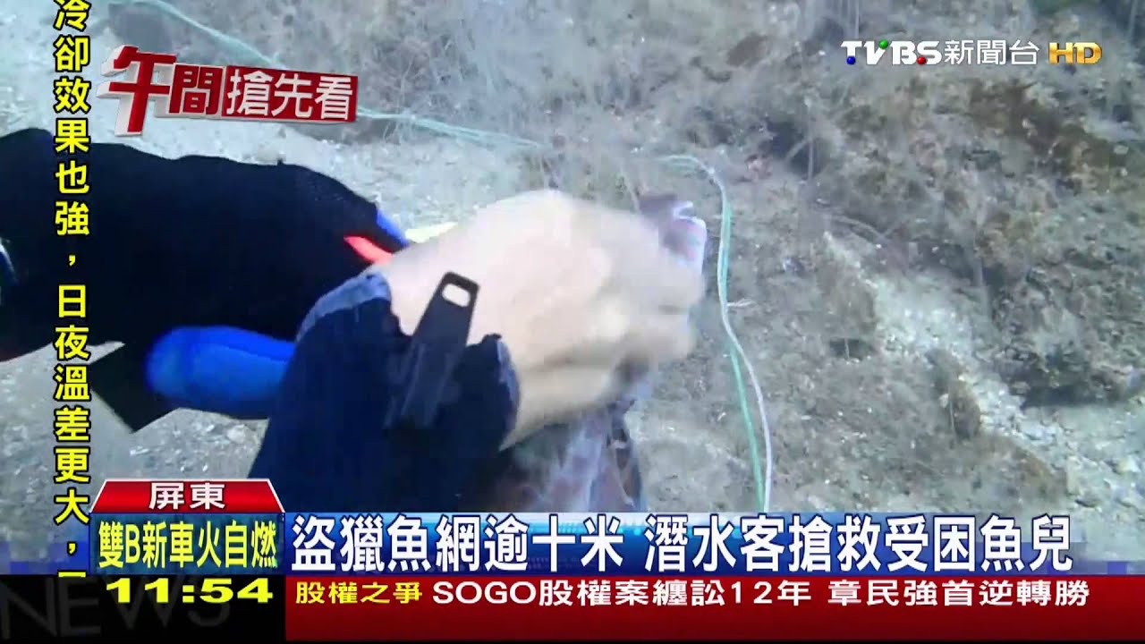 墾丁「黃金魚風暴」夯　盜獵者掛魚網濫捕