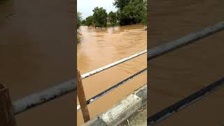 preview picture of video 'Saraswati river bilaspur flood'