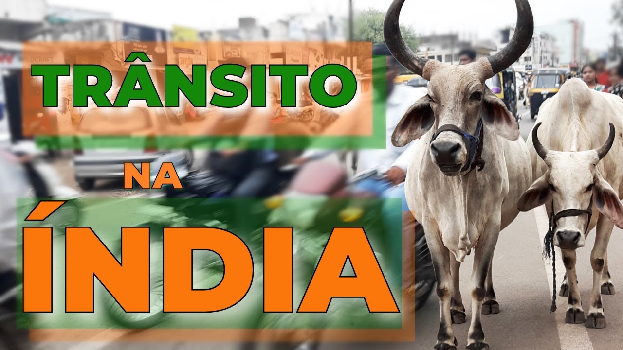 TRÂNSITO NA ÍNDIA | VACAS NA RUA | BUZINAS | CAÓTICO