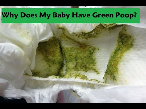 Green Watery Diarrhea In Dogs : Top Picked from our Experts
