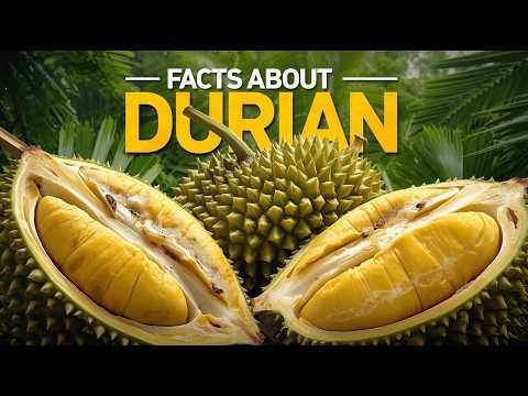 5 Incredible Facts About Durian: The King of Fruits Unveiled! 🍈🌟