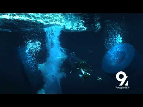 Kanal 9 Channel Identity "Swim Jump 2" - Dallas Sthlm