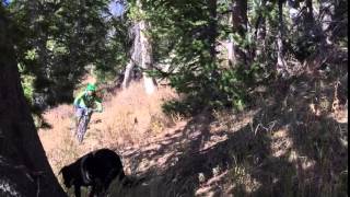 Downhill section on Wyoming Peak Trail.