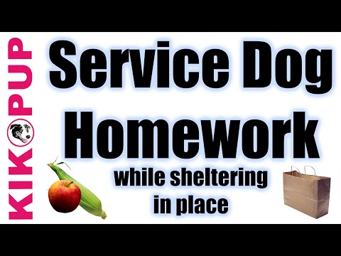 What is Clicker Training